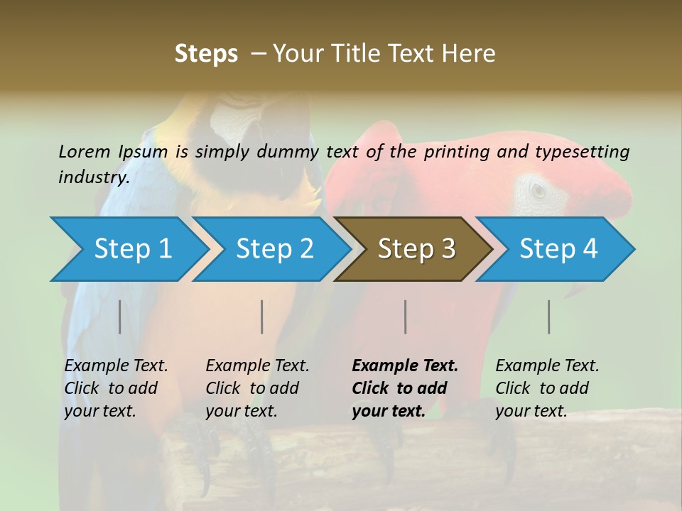 Cute Mccaw Talking PowerPoint Template
