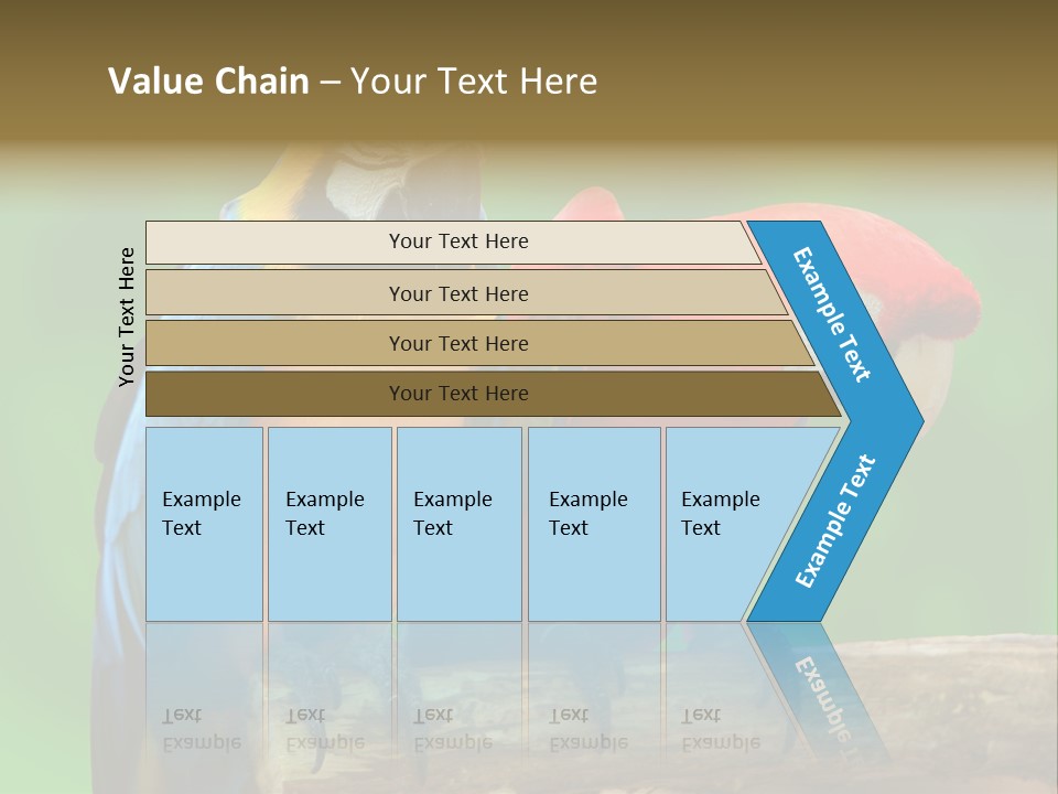 Cute Mccaw Talking PowerPoint Template