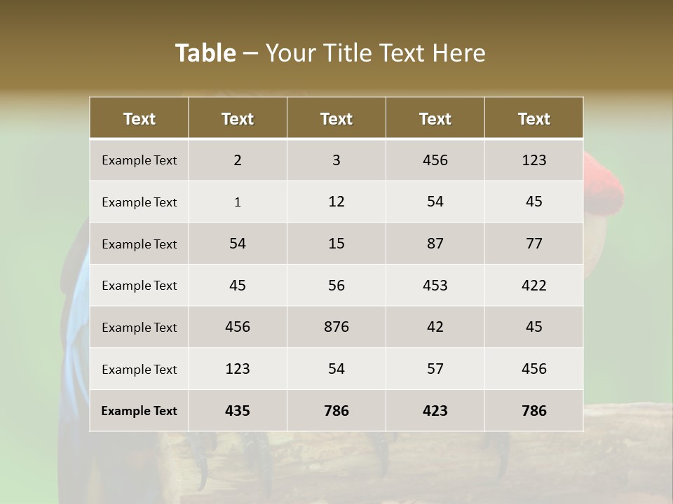 Cute Mccaw Talking PowerPoint Template