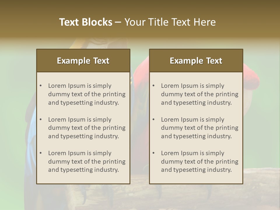 Cute Mccaw Talking PowerPoint Template