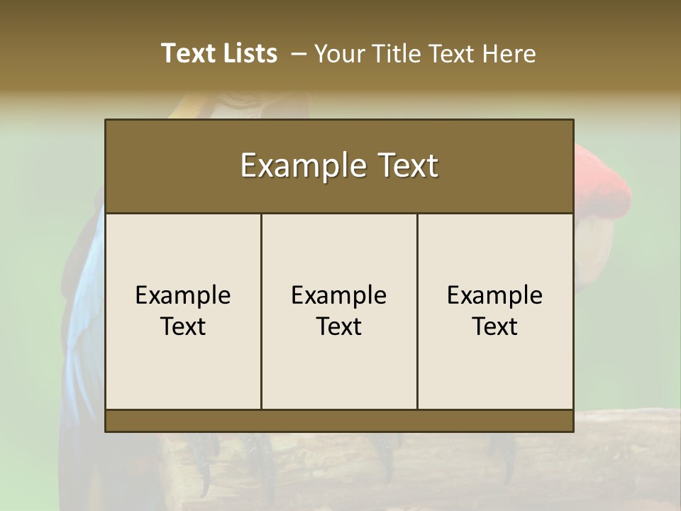 Cute Mccaw Talking PowerPoint Template