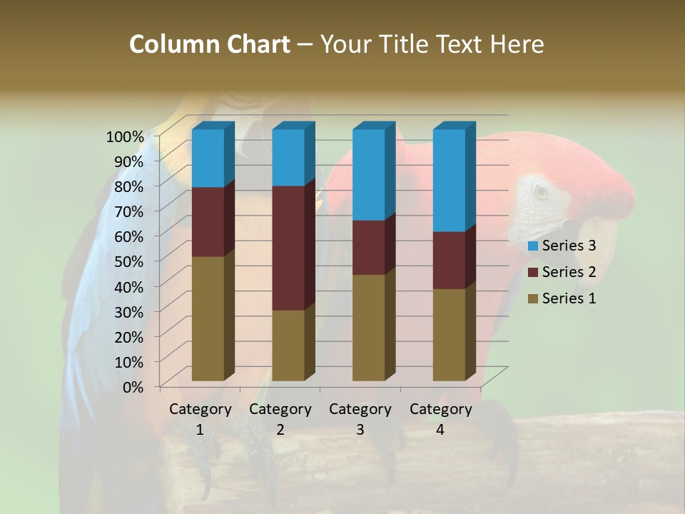 Cute Mccaw Talking PowerPoint Template