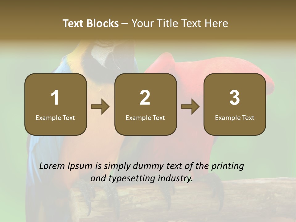 Cute Mccaw Talking PowerPoint Template