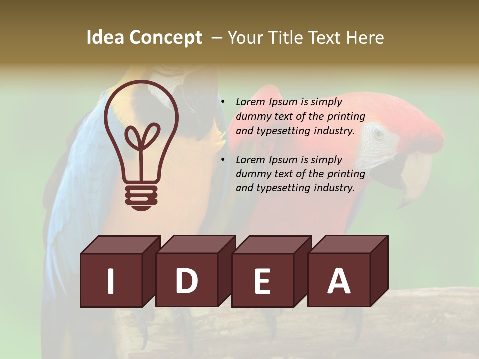 Cute Mccaw Talking PowerPoint Template