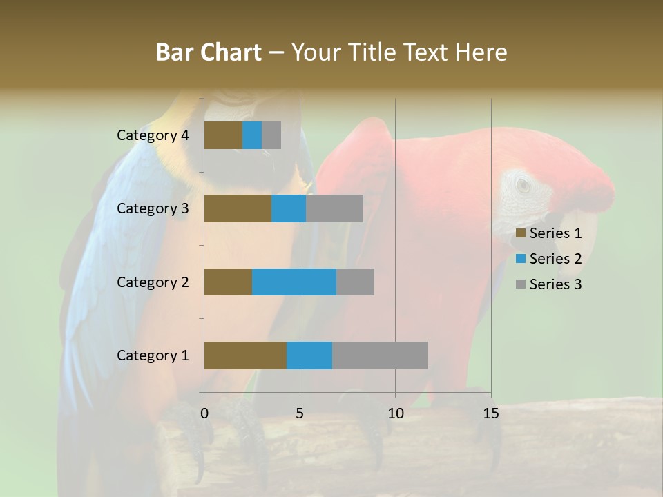 Cute Mccaw Talking PowerPoint Template