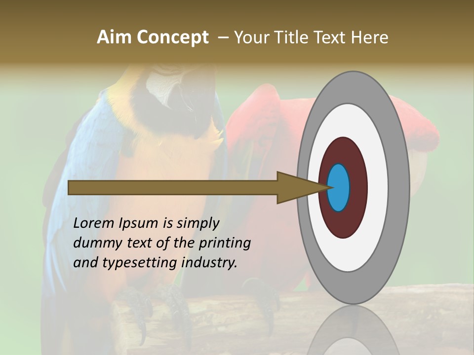 Cute Mccaw Talking PowerPoint Template