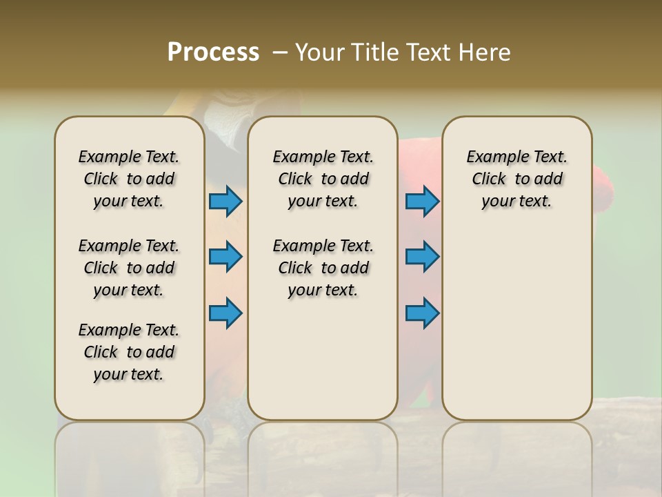 Cute Mccaw Talking PowerPoint Template