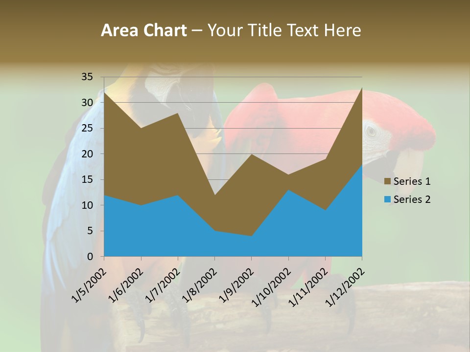 Cute Mccaw Talking PowerPoint Template