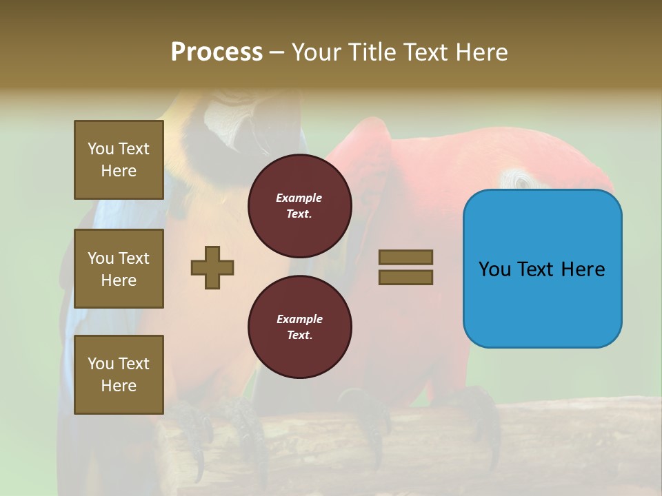 Cute Mccaw Talking PowerPoint Template