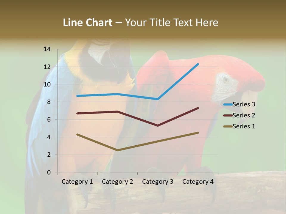 Cute Mccaw Talking PowerPoint Template
