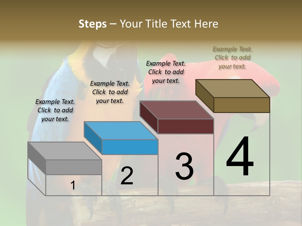 Cute Mccaw Talking PowerPoint Template