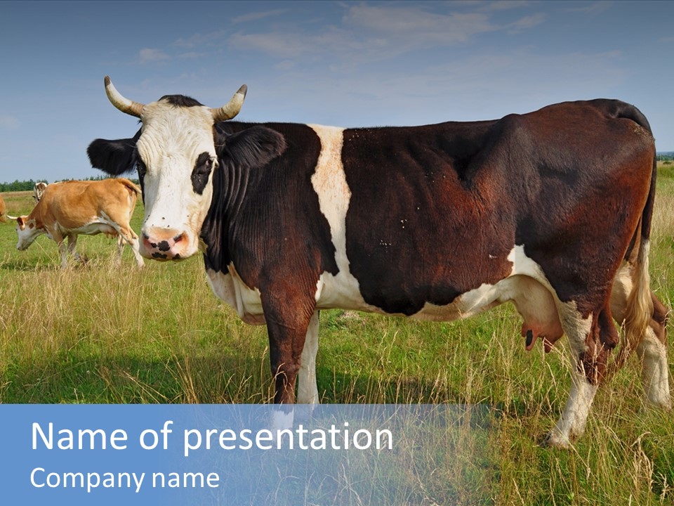 Pasture Landscape Farm PowerPoint Template