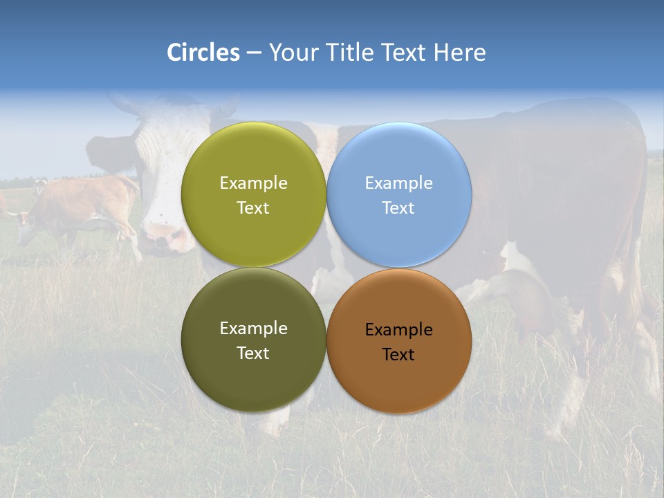 Pasture Landscape Farm PowerPoint Template