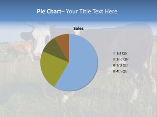 Pasture Landscape Farm PowerPoint Template