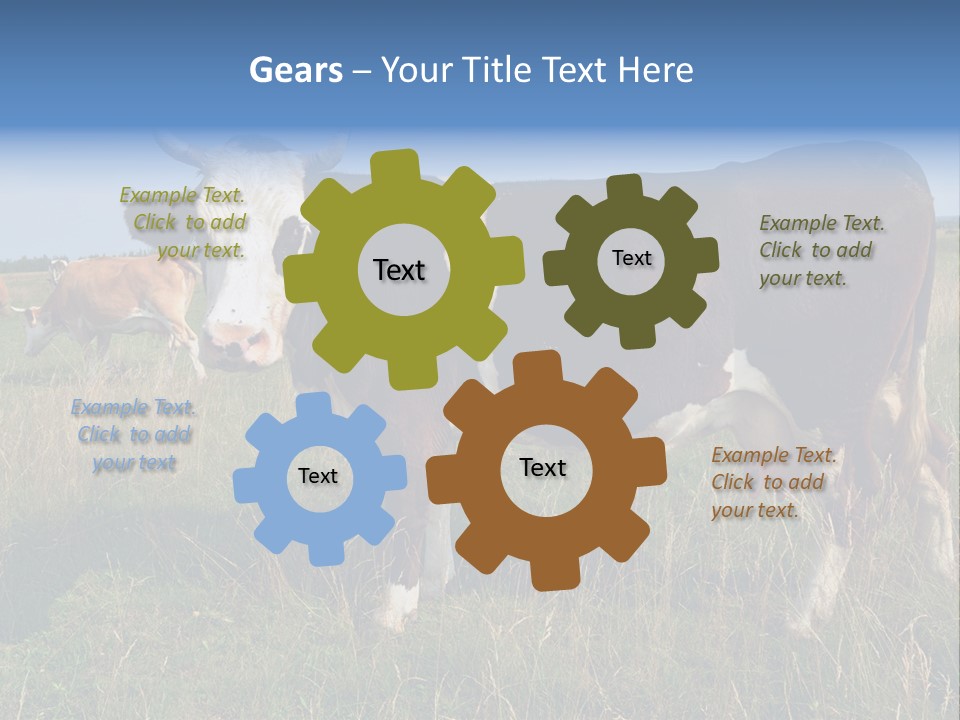 Pasture Landscape Farm PowerPoint Template