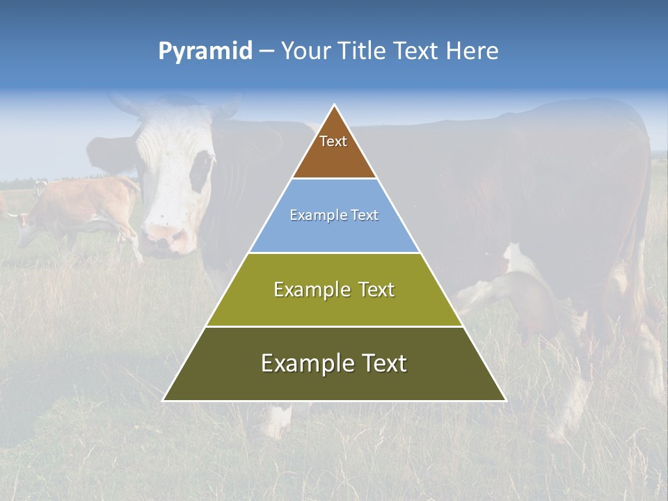 Pasture Landscape Farm PowerPoint Template