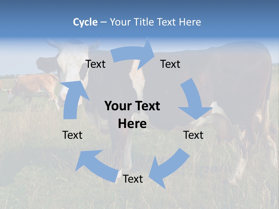 Pasture Landscape Farm PowerPoint Template
