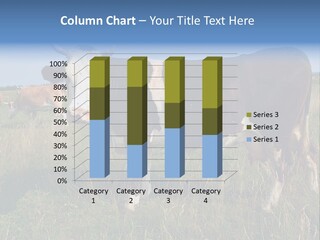 Pasture Landscape Farm PowerPoint Template