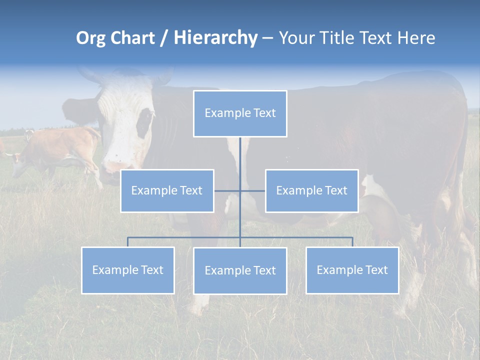 Pasture Landscape Farm PowerPoint Template