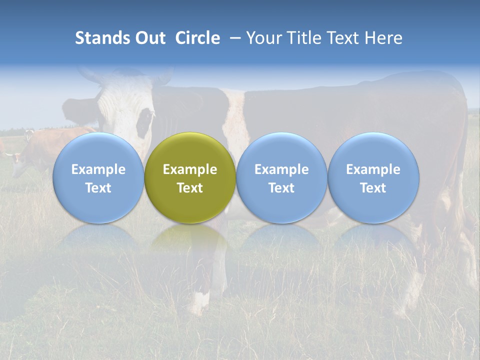 Pasture Landscape Farm PowerPoint Template