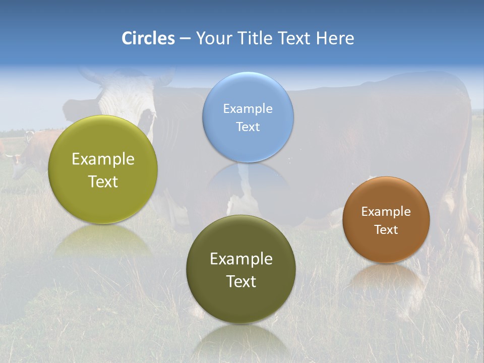 Pasture Landscape Farm PowerPoint Template