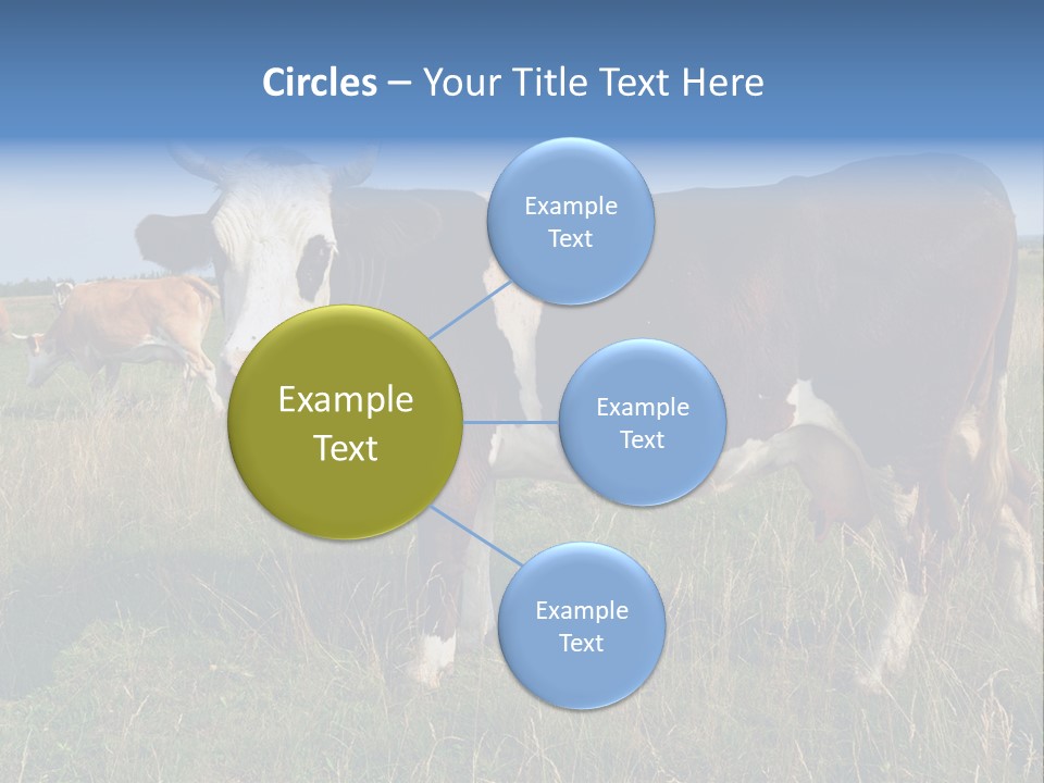 Pasture Landscape Farm PowerPoint Template