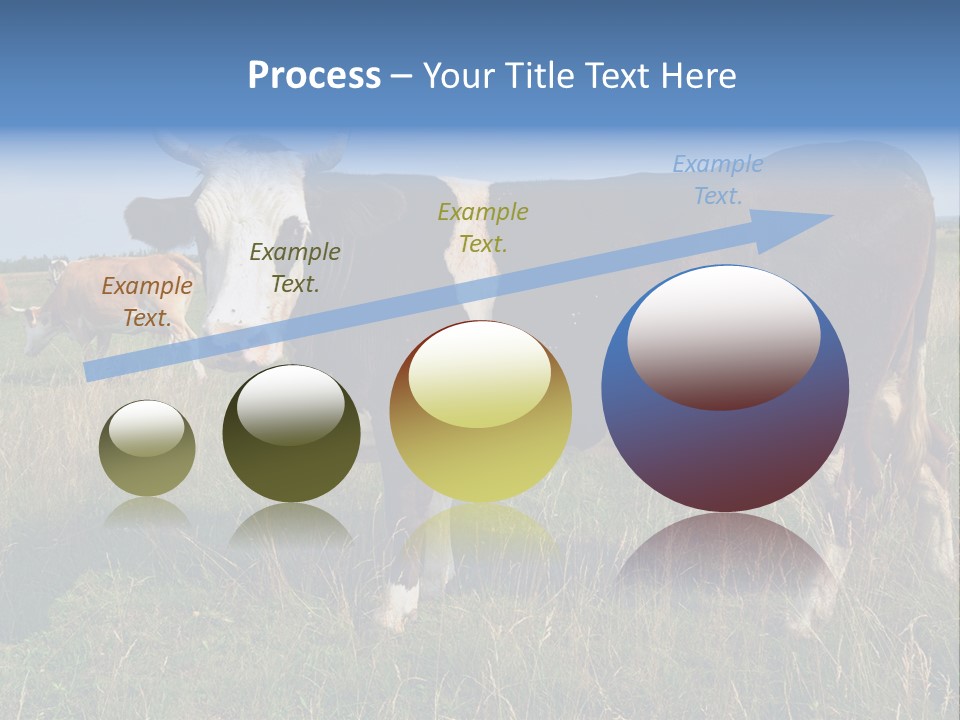 Pasture Landscape Farm PowerPoint Template
