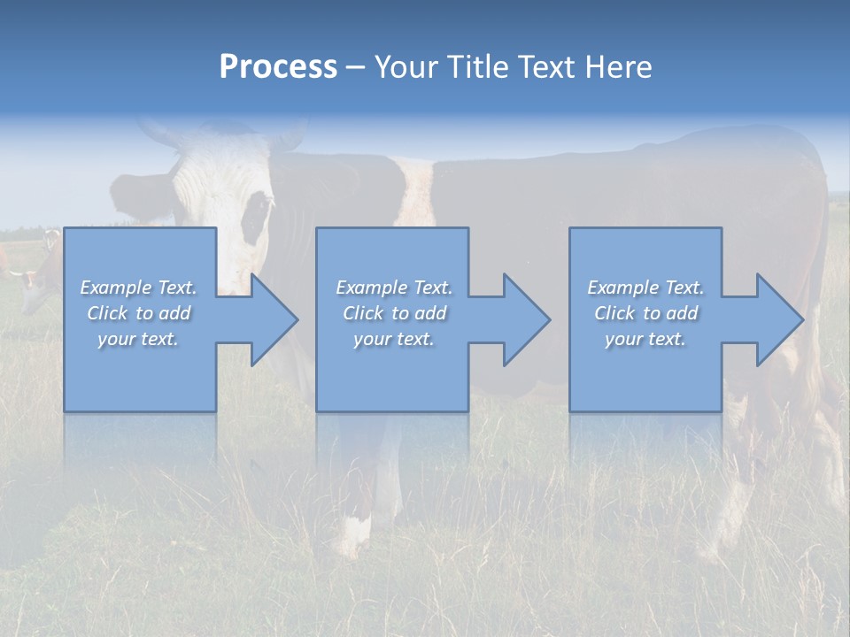 Pasture Landscape Farm PowerPoint Template
