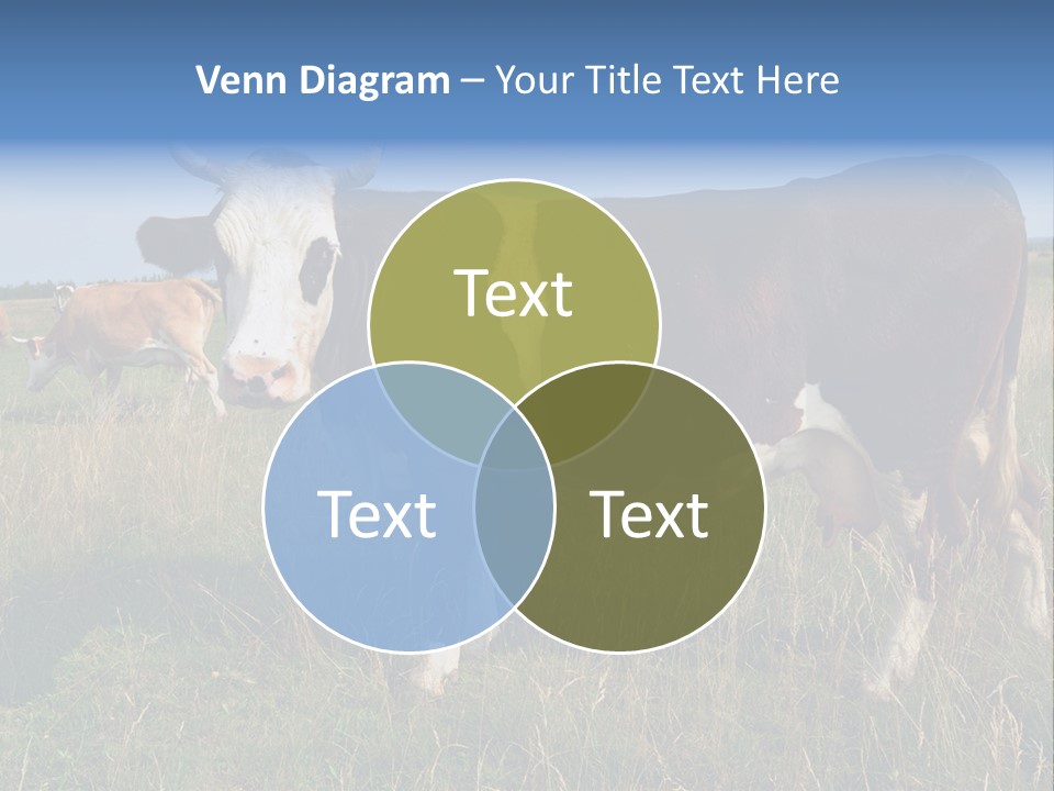 Pasture Landscape Farm PowerPoint Template
