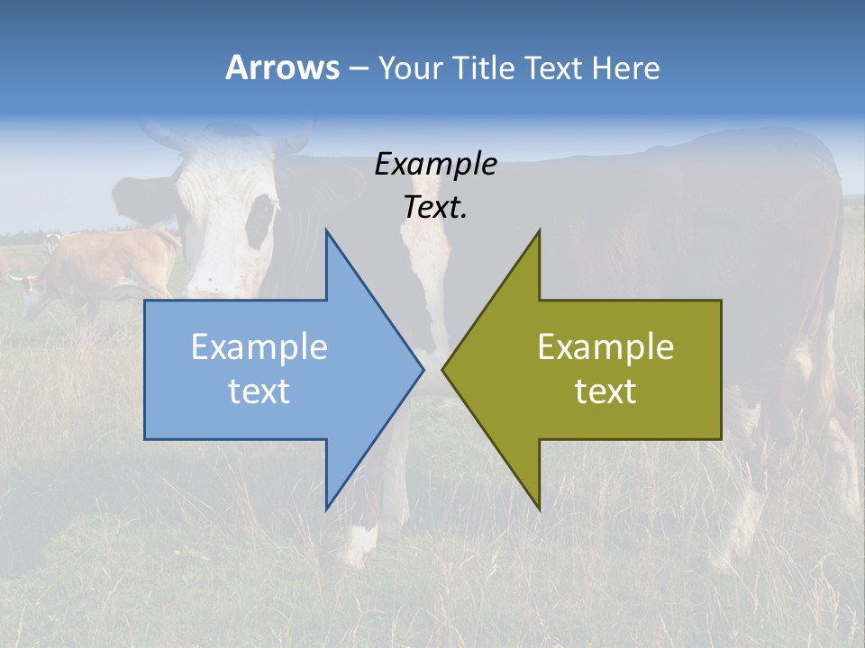 Pasture Landscape Farm PowerPoint Template