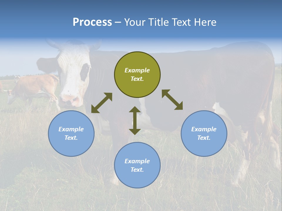 Pasture Landscape Farm PowerPoint Template