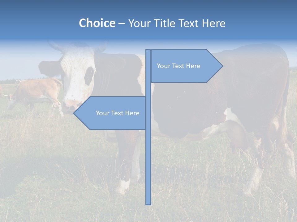 Pasture Landscape Farm PowerPoint Template