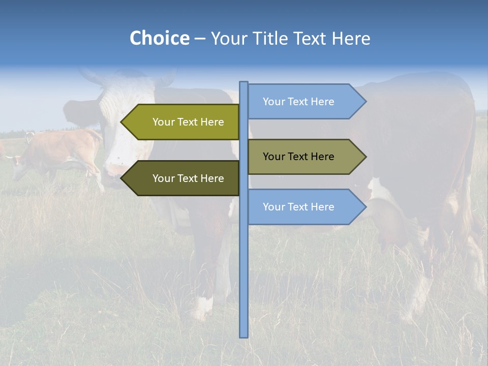 Pasture Landscape Farm PowerPoint Template