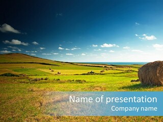 Tuscany Tuscan Plants PowerPoint Template