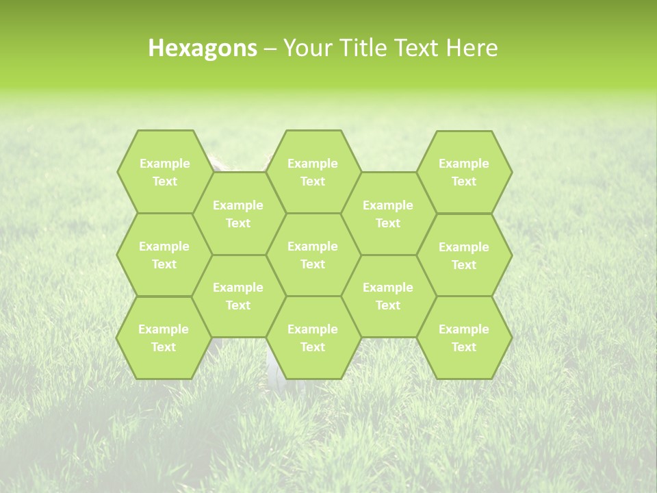 Going Ecology Meadow PowerPoint Template