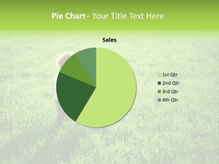 Going Ecology Meadow PowerPoint Template