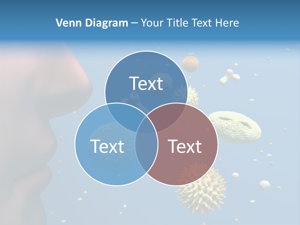 Hay Fever Immune System Pollen PowerPoint Template