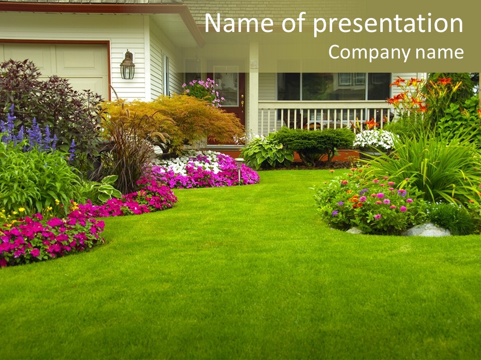 Front Flora White PowerPoint Template