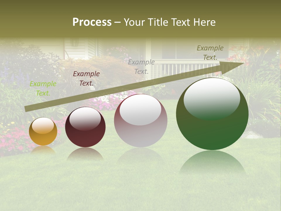 Front Flora White PowerPoint Template