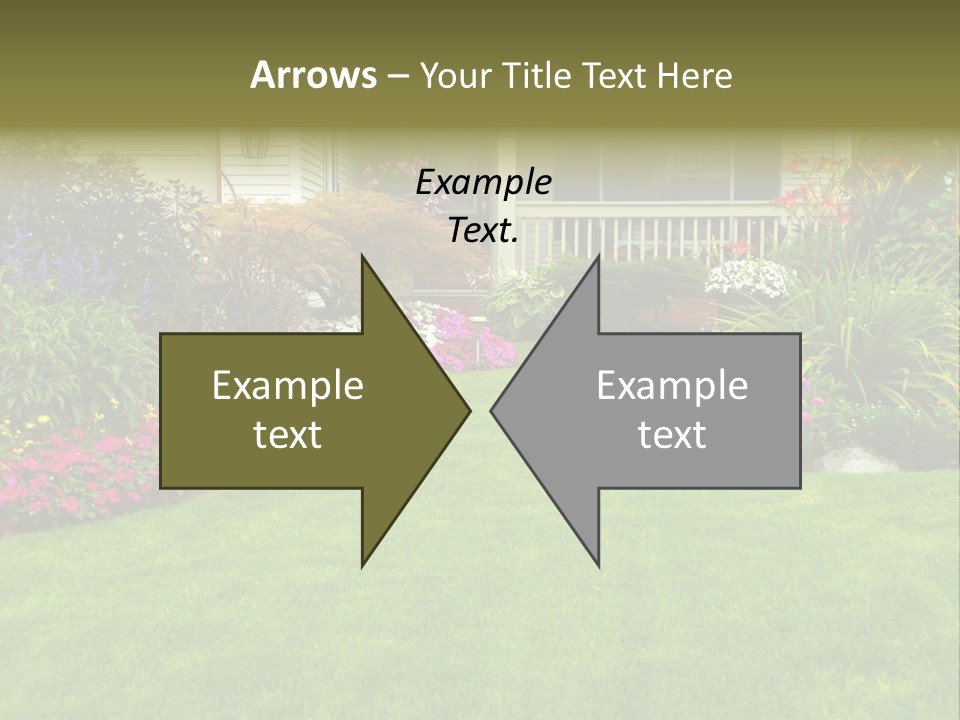 Front Flora White PowerPoint Template