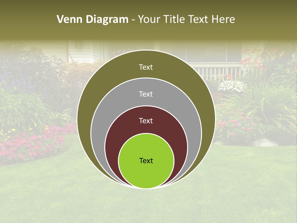 Front Flora White PowerPoint Template