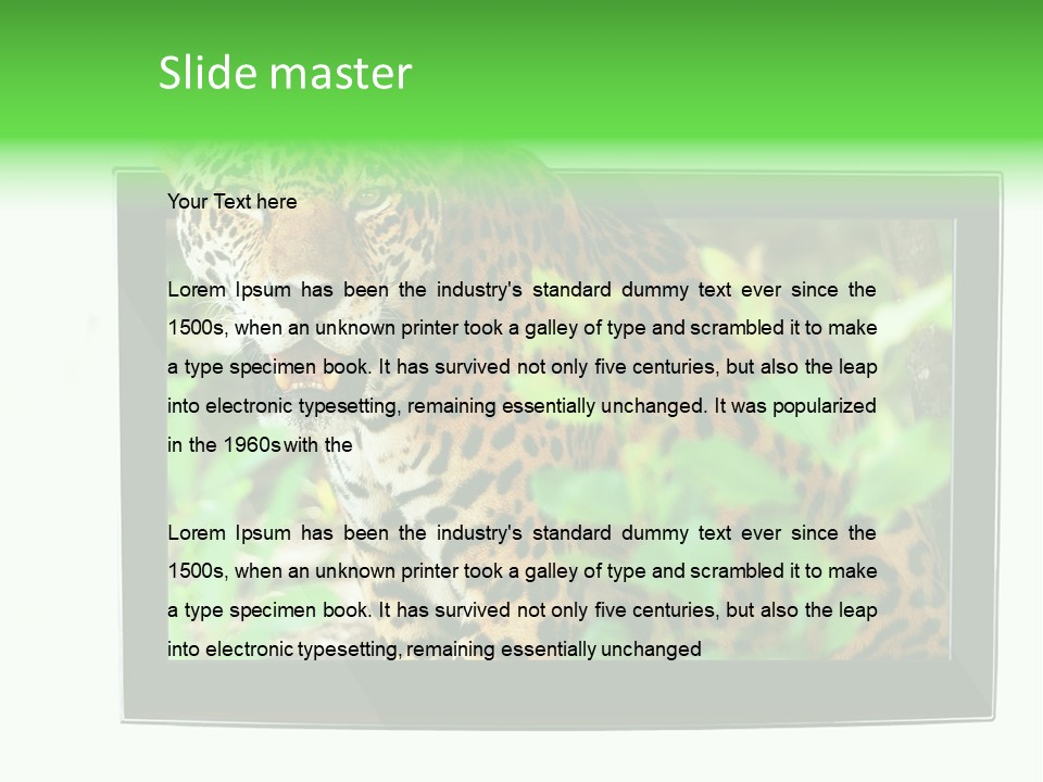 Image Video Movie PowerPoint Template