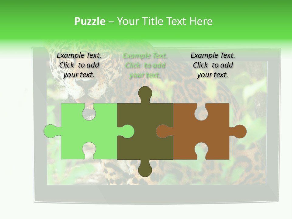 Image Video Movie PowerPoint Template