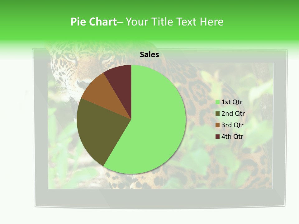 Image Video Movie PowerPoint Template