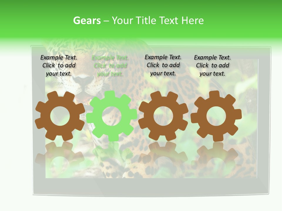 Image Video Movie PowerPoint Template