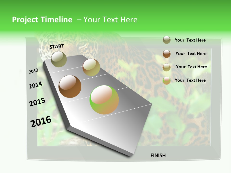 Image Video Movie PowerPoint Template