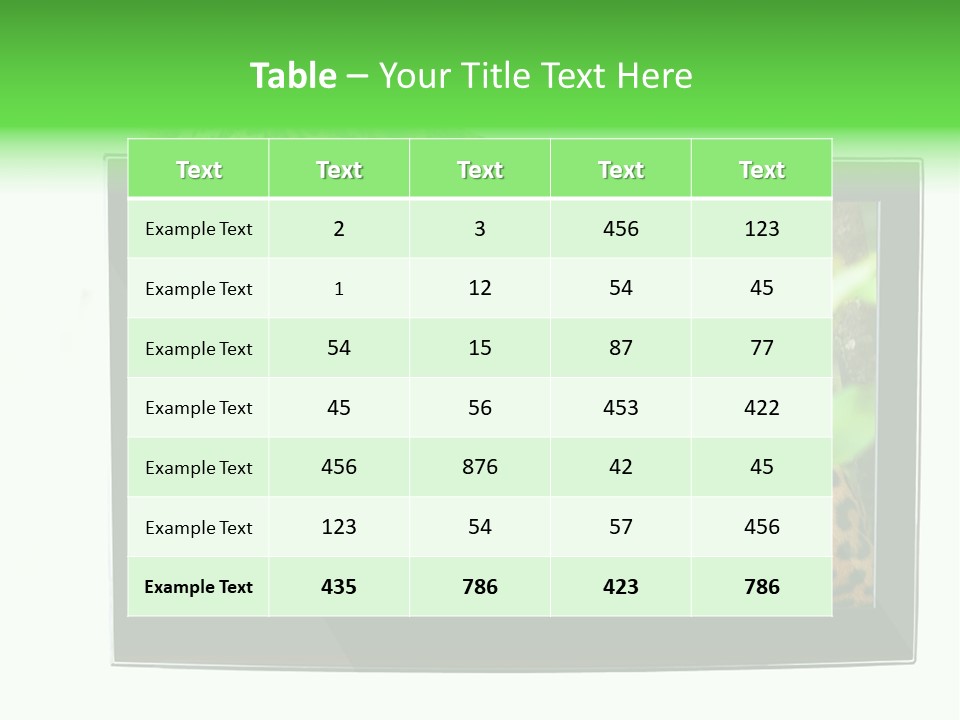 Image Video Movie PowerPoint Template