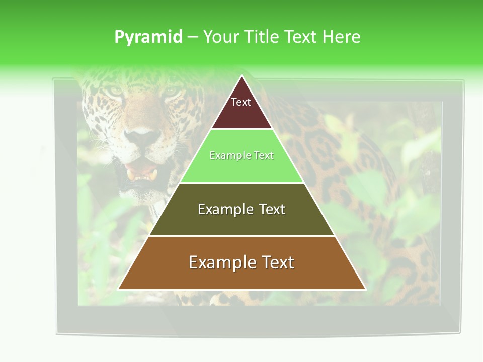Image Video Movie PowerPoint Template