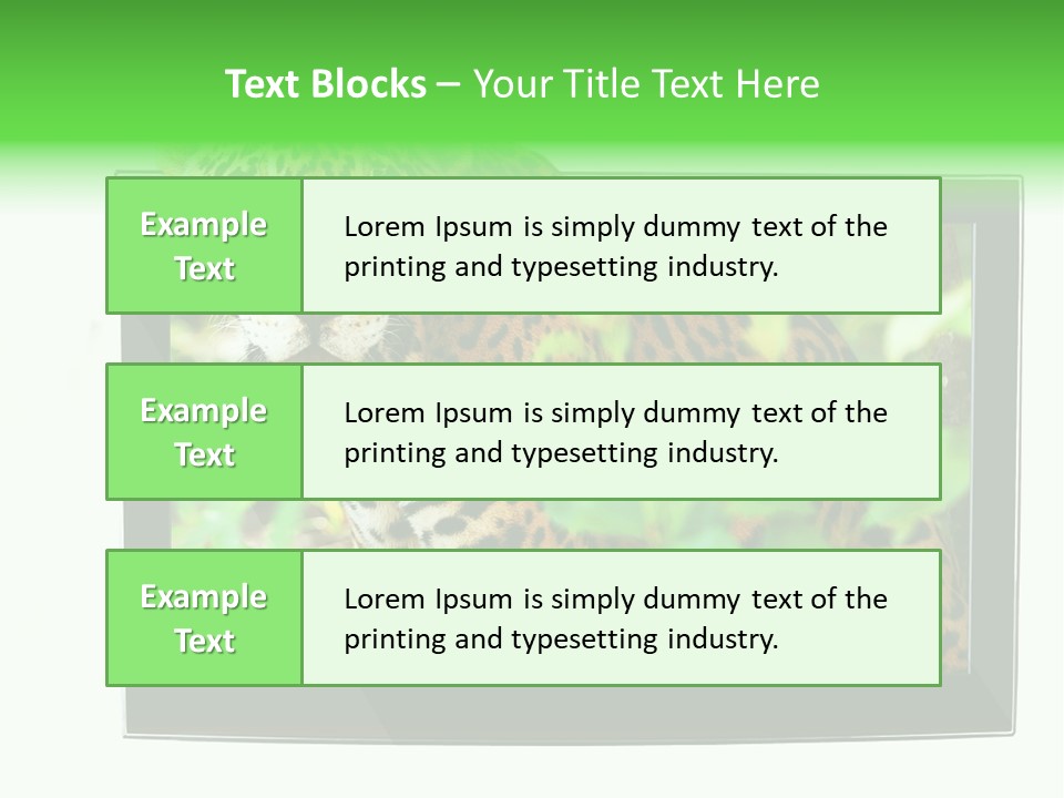 Image Video Movie PowerPoint Template