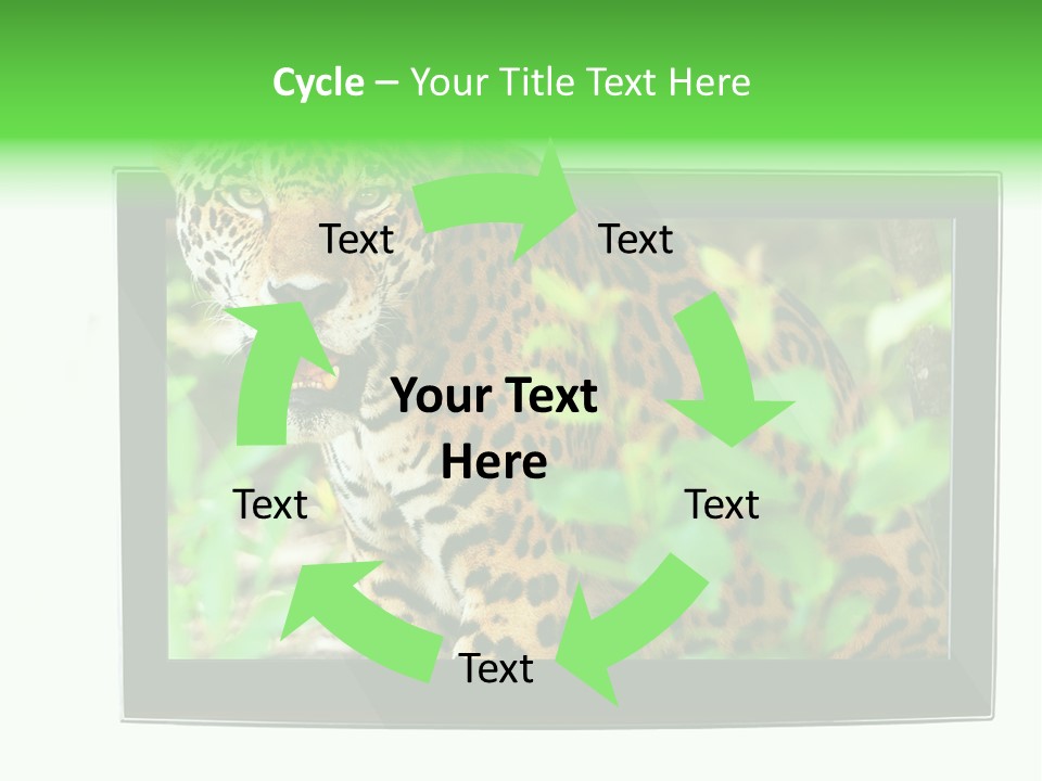 Image Video Movie PowerPoint Template